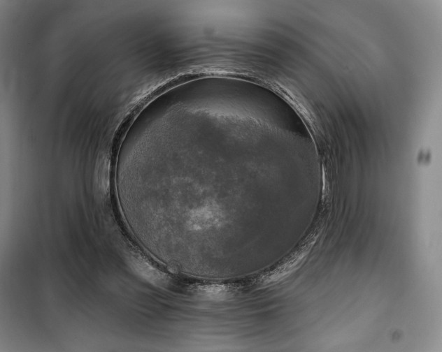 X0000100370301200806061201