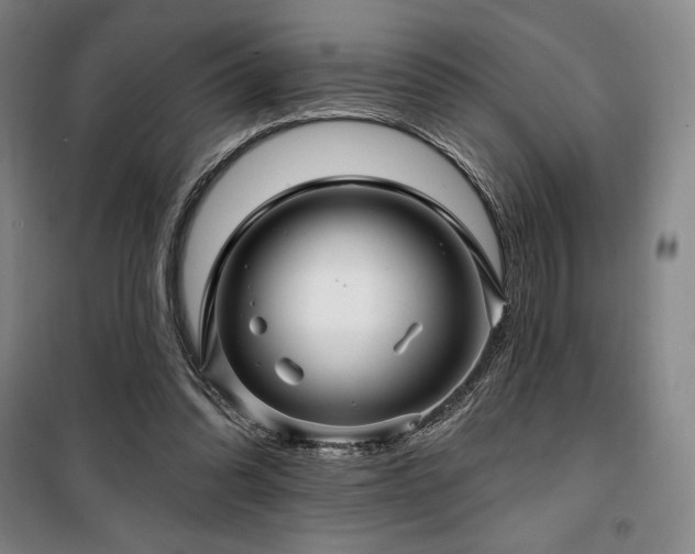 X0000100370302200806061201