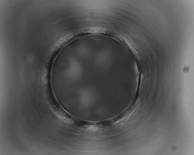 X0000100370303200806061201