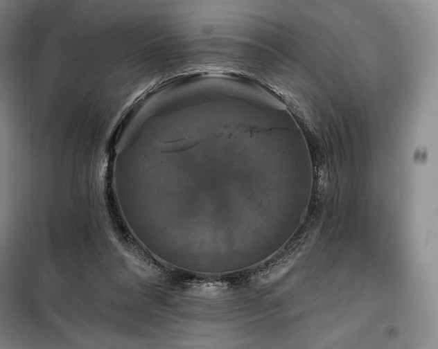 X0000100370304200806061201