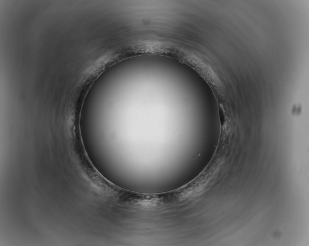 X0000100370306200806061201