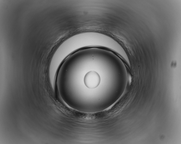 X0000100370308200806061201