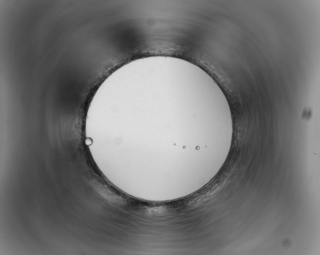 X0000100370309200806061201