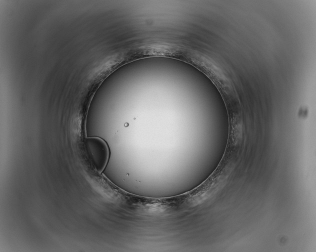 X0000100370310200806061201