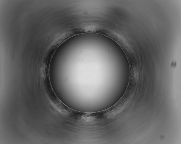 X0000100370311200806061201