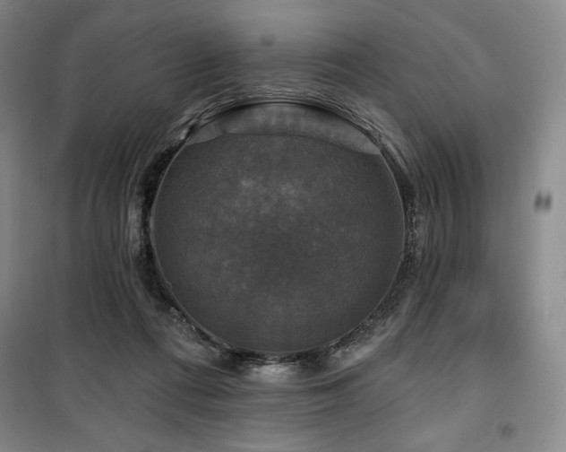 X0000100370312200806061201