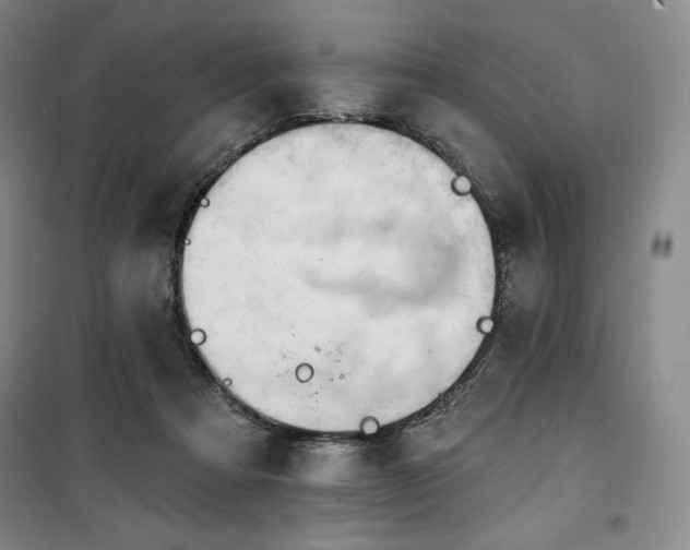 X0000100370313200806061201