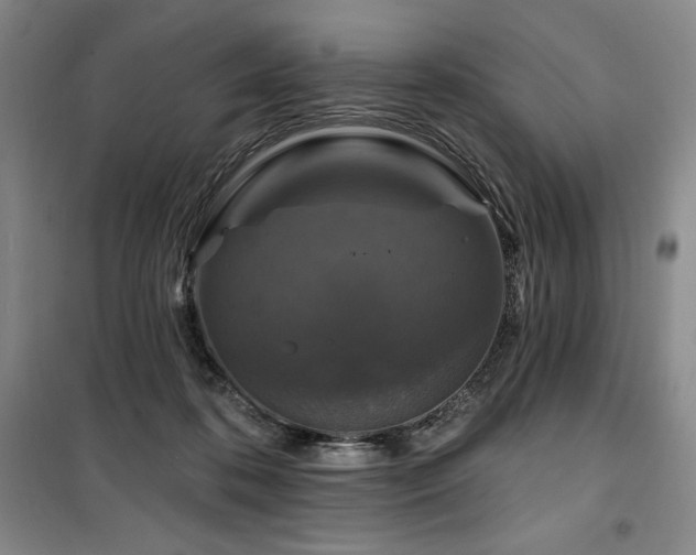 X0000100370316200806061201