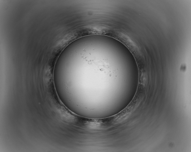 X0000100370318200806061201