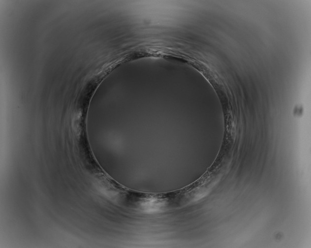 X0000100370319200806061201