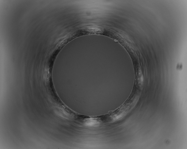 X0000100370320200806061201