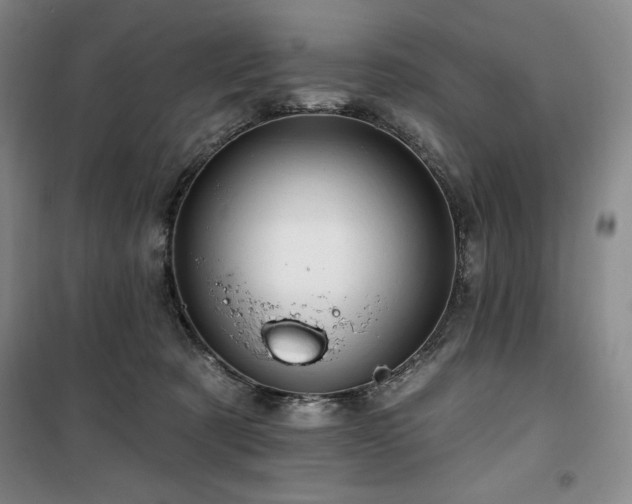 X0000100370321200806061201