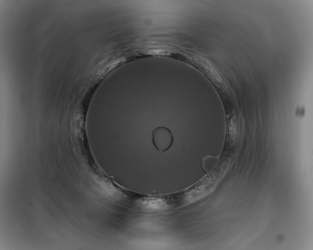 X0000100370322200806061201