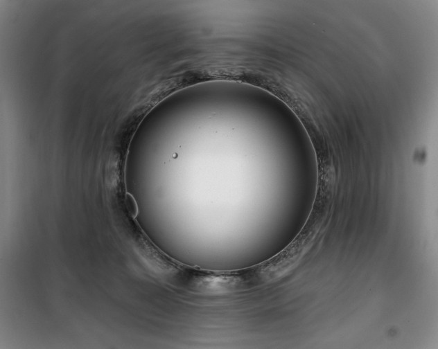 X0000100370323200806061201