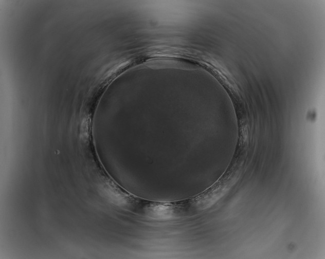 X0000100370325200806061201