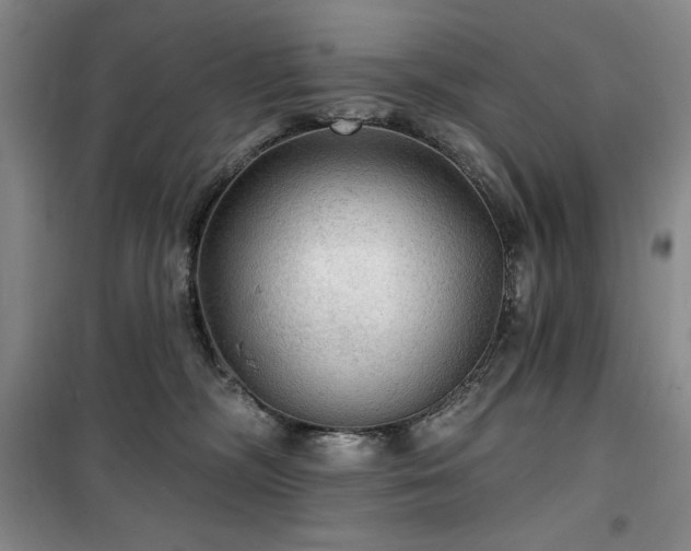 X0000100370326200806061201