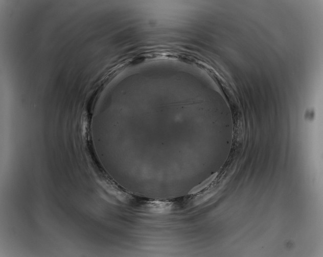 X0000100370328200806061201