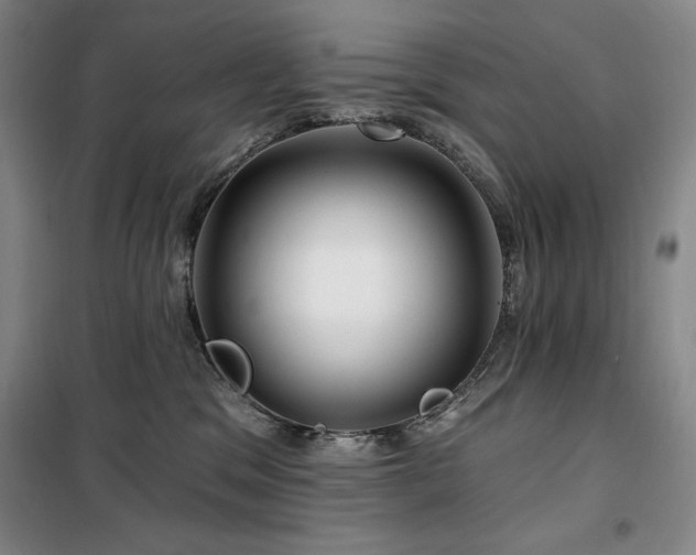 X0000100370329200806061201