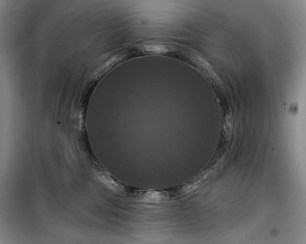 X0000100370330200806061201