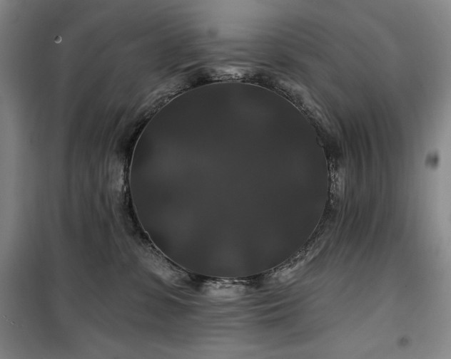 X0000100370331200806061201