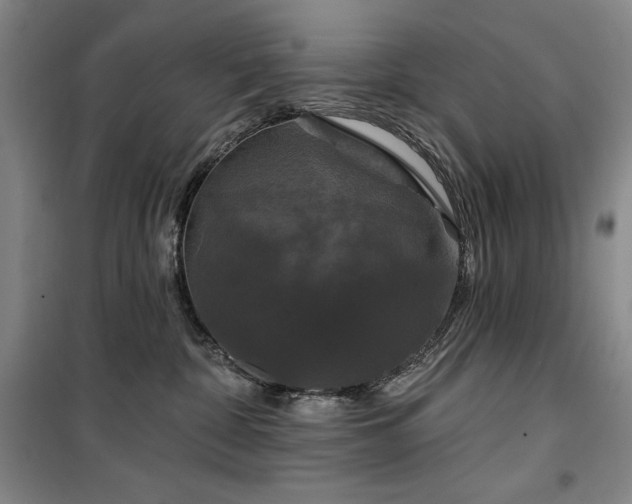 X0000100370332200806061201