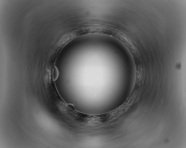 X0000100370333200806061201