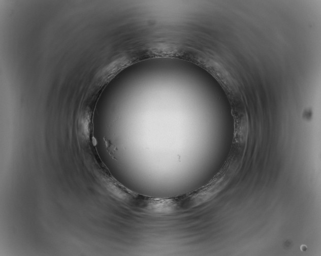 X0000100370334200806061201