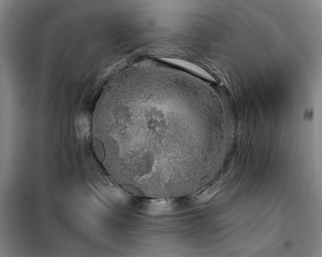 X0000100370335200806061201