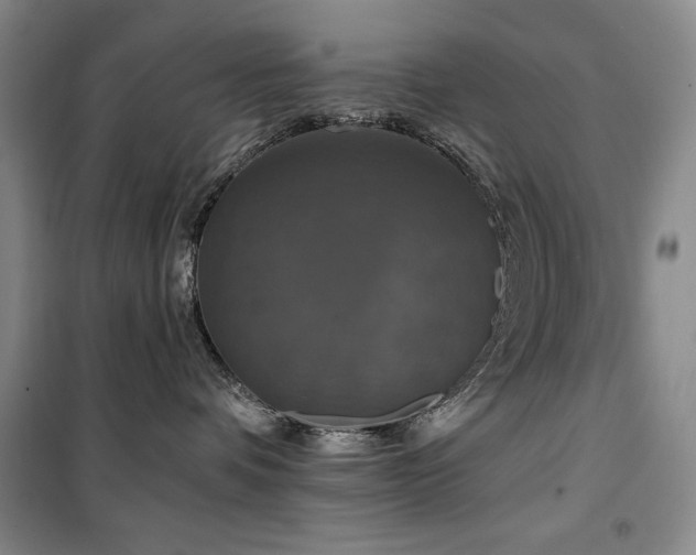 X0000100370336200806061201