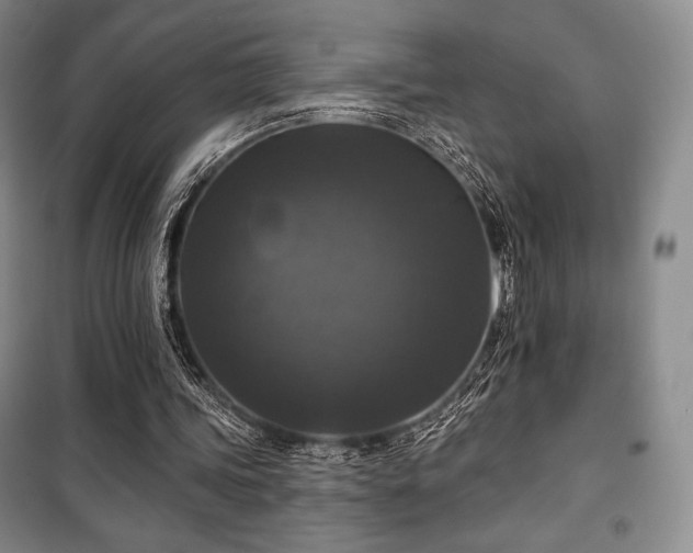 X0000100370339200806061200