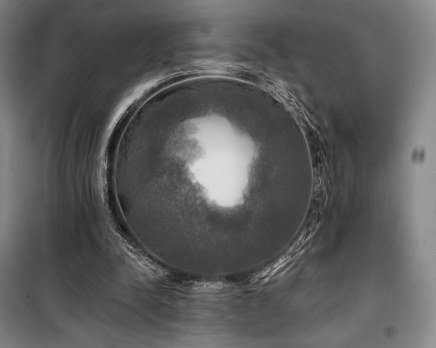 X0000100370342200806061200