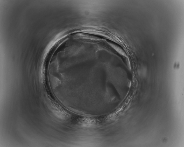 X0000100370343200806061200