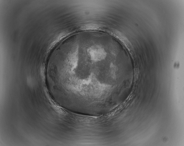 X0000100370345200806061200