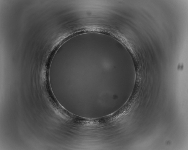 X0000100370347200806061200