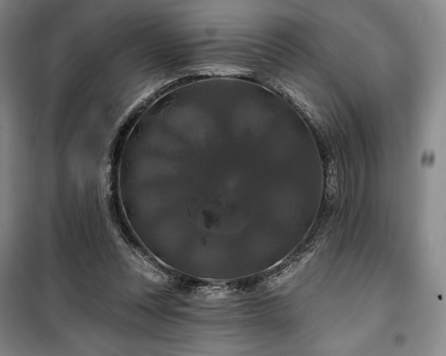 X0000100370351200806061200