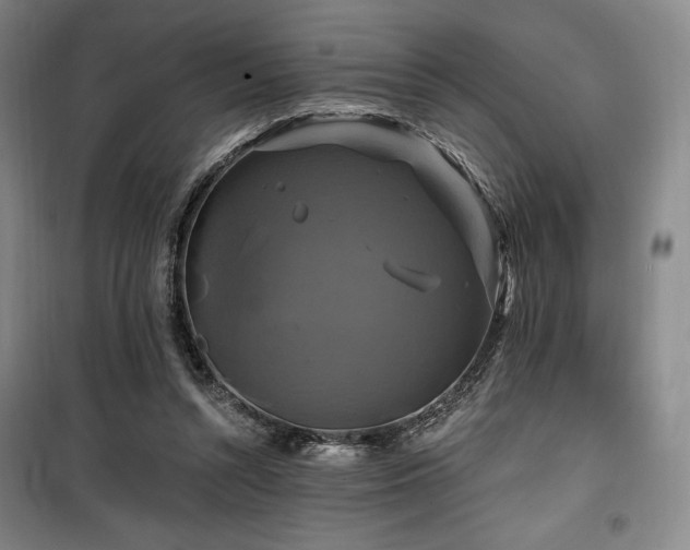 X0000100370352200806061200