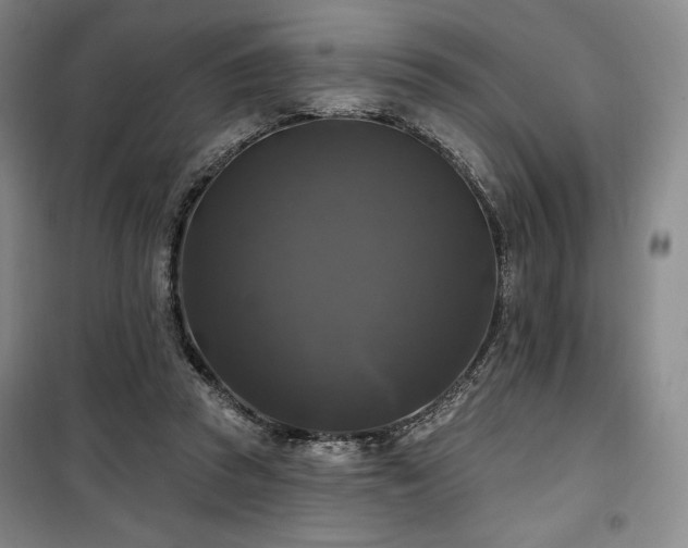 X0000100370353200806061200