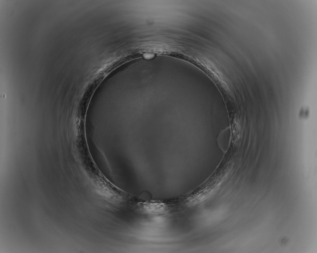 X0000100370355200806061200