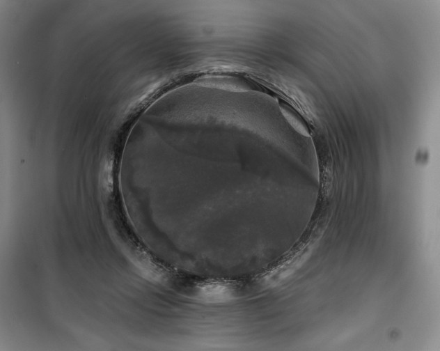 X0000100370358200806061201