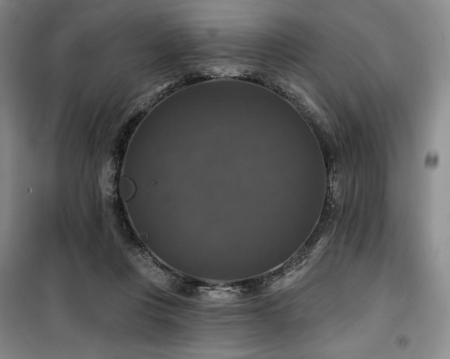 X0000100370359200806061201