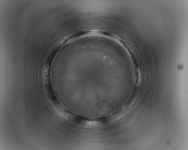 X0000100370360200806061201