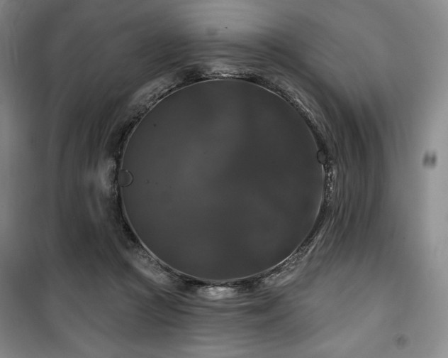 X0000100370361200806061201