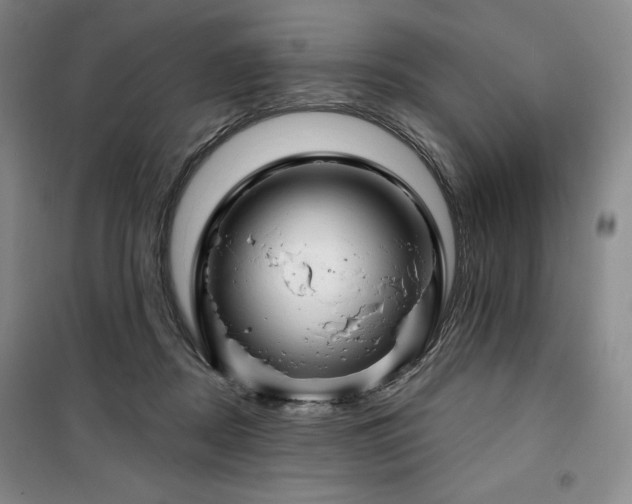 X0000100370362200806061201