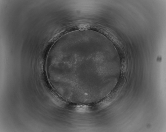 X0000100370363200806061201