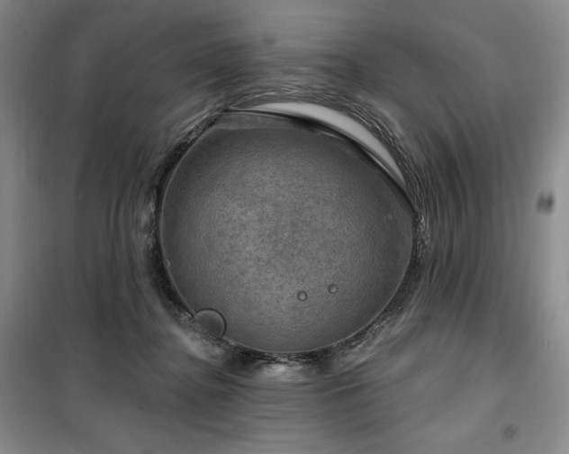 X0000100370364200806061201