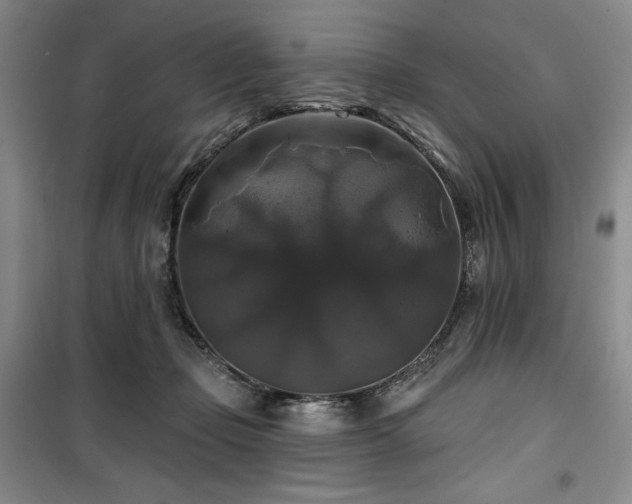 X0000100370365200806061201