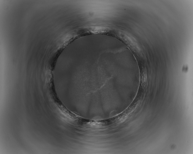 X0000100370367200806061201