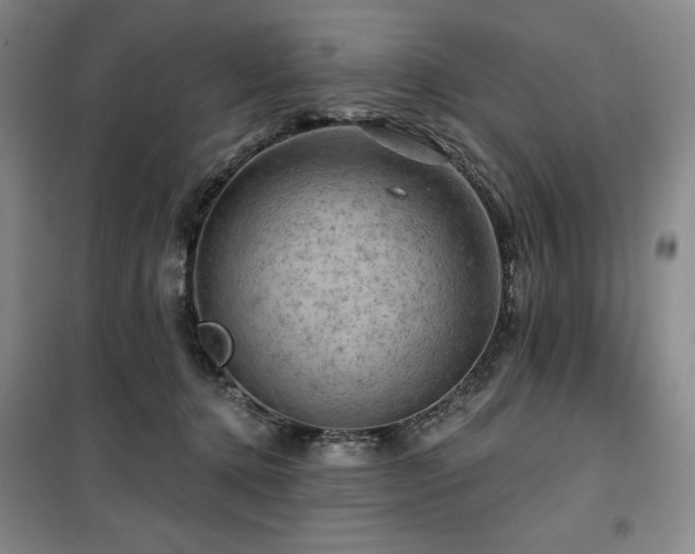 X0000100370368200806061201