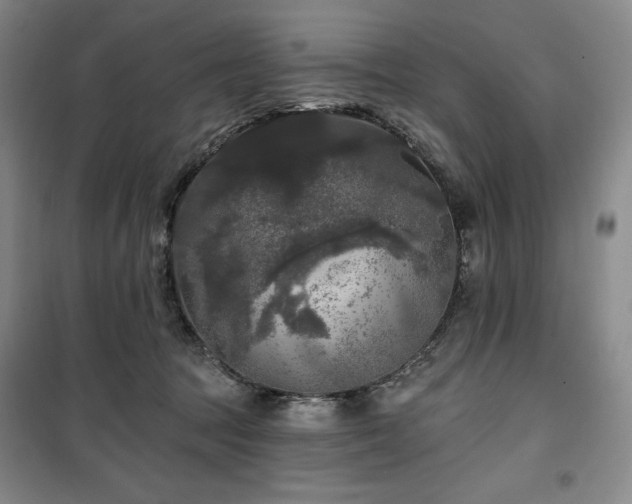 X0000100370369200806061201