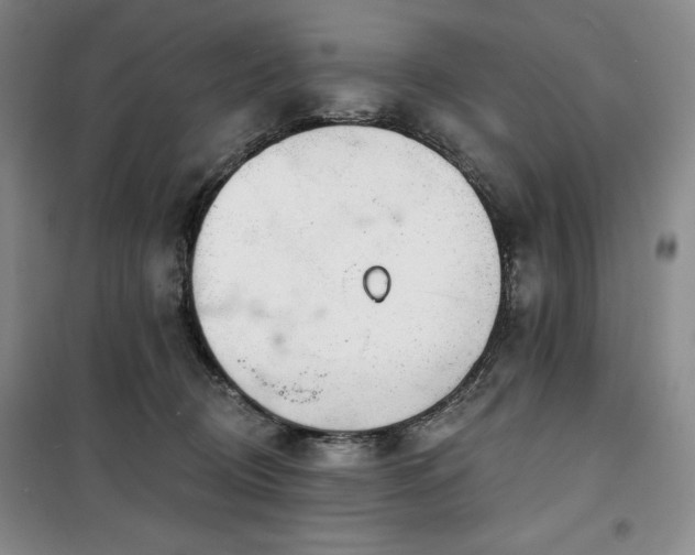 X0000100370370200806061201